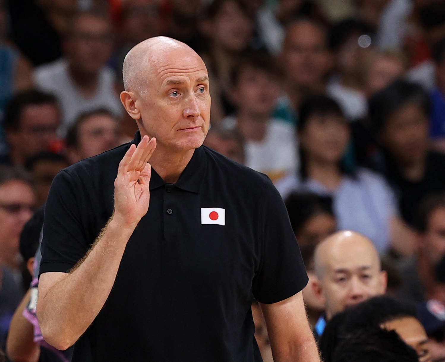 九游体育-姚明前队友郑志龙：姚明曾有意日本主帅霍瓦斯 高层想要本土教练